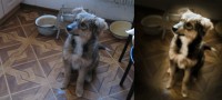 Уменьшенная копия